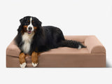 Pawtastic | Large Dog Bed Orthopedic 7-Inch Foam Support for Comfort 29