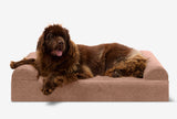 Pawtastic | Large Dog Bed Orthopedic 7-Inch Foam Support for Comfort 34