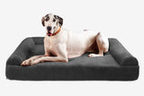Pawtastic | Large Dog Bed Orthopedic 7-Inch Foam Support for Comfort 35