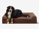 Pawtastic | Large Dog Bed Orthopedic 7-Inch Foam Support for Comfort 40
