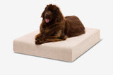 Pawtastic | Large Dog Bed Orthopedic 7-Inch Foam Support for Comfort 48