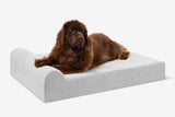 Pawtastic | Large Dog Bed Orthopedic 7-Inch Foam Support for Comfort 53