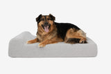 Pawtastic | Large Dog Bed Orthopedic 7-Inch Foam Support for Comfort 54