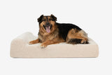 Pawtastic | Large Dog Bed Orthopedic 7-Inch Foam Support for Comfort 60