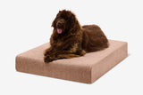 Pawtastic | Large Dog Bed Orthopedic 7-Inch Foam Support for Comfort 62
