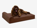 Pawtastic | Large Dog Bed Orthopedic 7-Inch Foam Support for Comfort 63