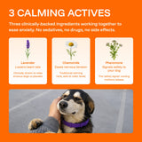 Serenita | Dog Calming Collar Adjustable for All Breeds with Pheromone Release