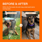 Serenita | Dog Calming Collar Adjustable for All Breeds with Pheromone Release