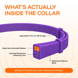 Serenita | Dog Calming Collar Adjustable for All Breeds with Pheromone Release