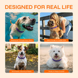 Serenita | Dog Calming Collar Adjustable for All Breeds with Pheromone Release