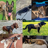 Tactical Dog Harness | Military-Grade Vest Quick-Release Reflective Strip