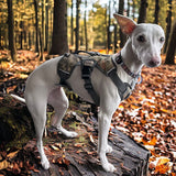 Veldune | Dog Escape-Proof Harness for Whippets and Greyhounds Reflective