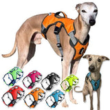 Veldune | Dog Escape-Proof Harness for Whippets and Greyhounds Reflective