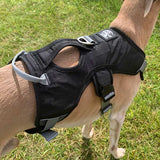 Veldune | Dog Escape-Proof Harness for Whippets and Greyhounds Reflective
