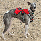 Veldune | Dog Escape-Proof Harness for Whippets and Greyhounds Reflective