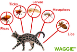 Waggie | Natural Cat Flea Collar Essential Oil Adjustable Waterproof