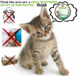 Waggie | Natural Cat Flea Collar Essential Oil Adjustable Waterproof