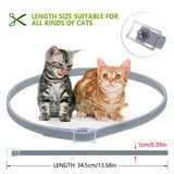 Waggie | Natural Cat Flea Collar Essential Oil Adjustable Waterproof