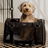 Coatrix | Dog Carrier Bag Airline Approved with Memory Foam, Machine Washable