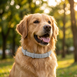 Pawcrest | Dog Pest Control Collar Adjustable Fit for All Breeds