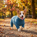 Heathpaw | Dog Jacket Water-Resistant with Pocket Plaid Warm, All Sizes