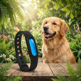 Repello | Natural Insect Repellent Bracelet Essential Oil Waterproof, 8 Colors