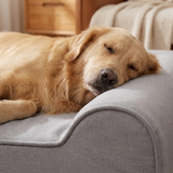 Hawkmar Orthopedic Dog Bed with Memory Foam Support for Large Breeds