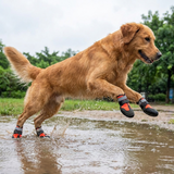 Pawmora | Dog Waterproof Rubber Boots Slip-On Secure Fit, All Sizes