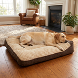 Velpaw | Dog Bed Orthopedic Memory Foam with Raised Headrest, XL to 3XL