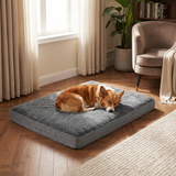 Pawtrel | Dog Bed Orthopedic Support for Small to Medium Breeds