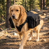 Brodie Dood | Dog Hiking Backpack Carrier for Large Breeds, 40-100 lbs